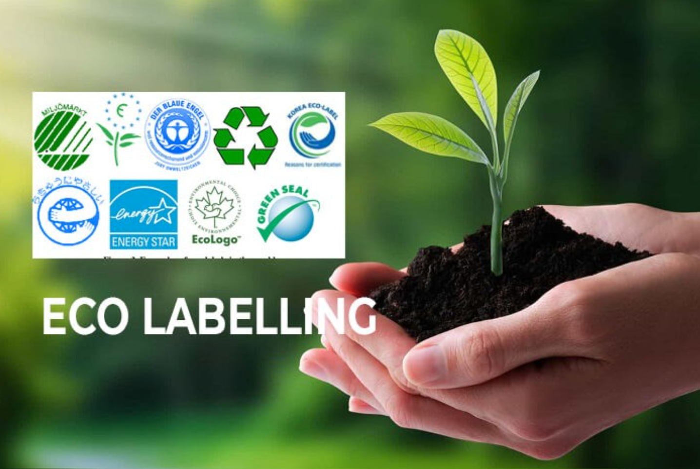Eco-labels struggle to grow due to strict regulations
